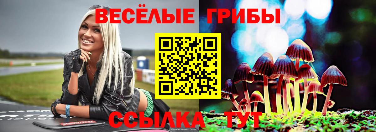 Туймазы  Галлюциногенные грибы Magic Shrooms  Вход с VPN 